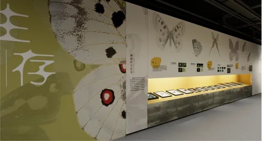 中標(biāo)喜訊?|?天地間博展中標(biāo)安徽博物院2025年度展陳項目！