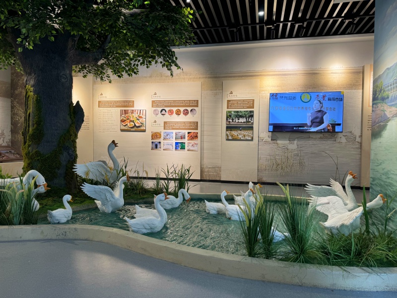皖西白鵝文化產(chǎn)業(yè)館帶你穿越千年鵝文